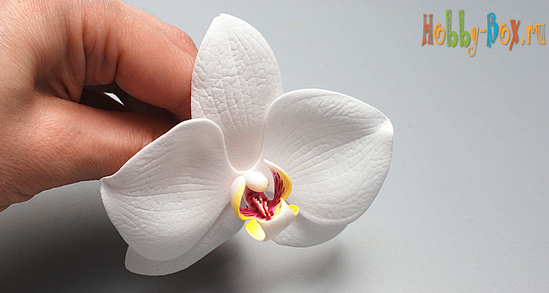 Мастер-класс орхидея из фоамирана