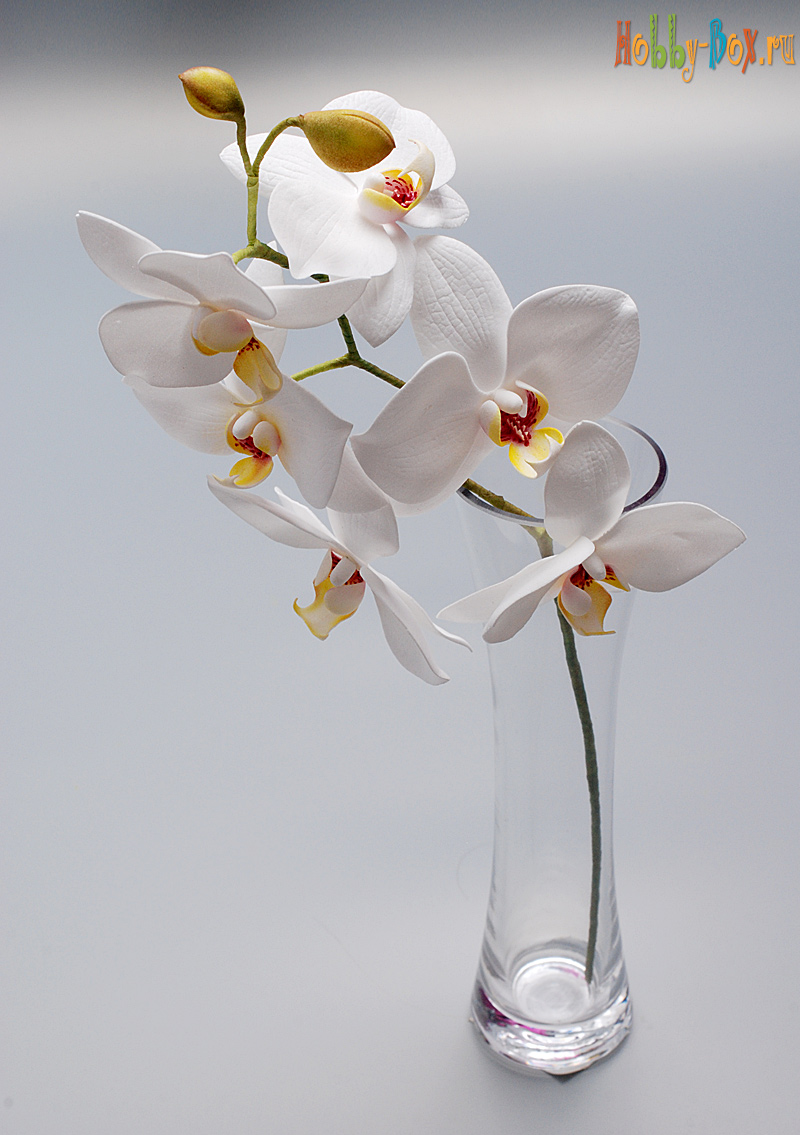 Мастер-класс орхидея из фоамирана